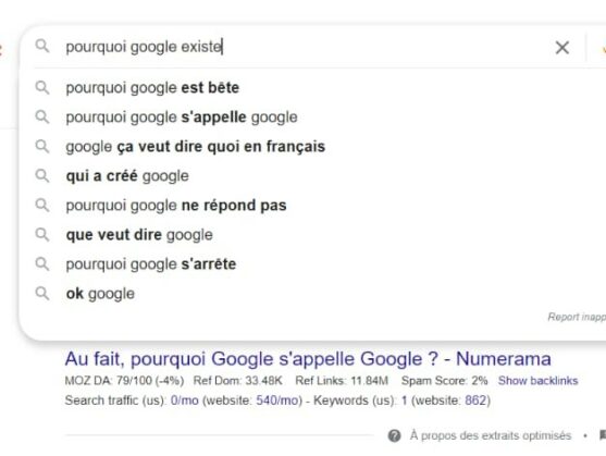 suggestions-de-google